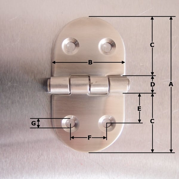 75mm x 40mm Oval Hinge - Stainless steel AISI316 - Satin Finish
