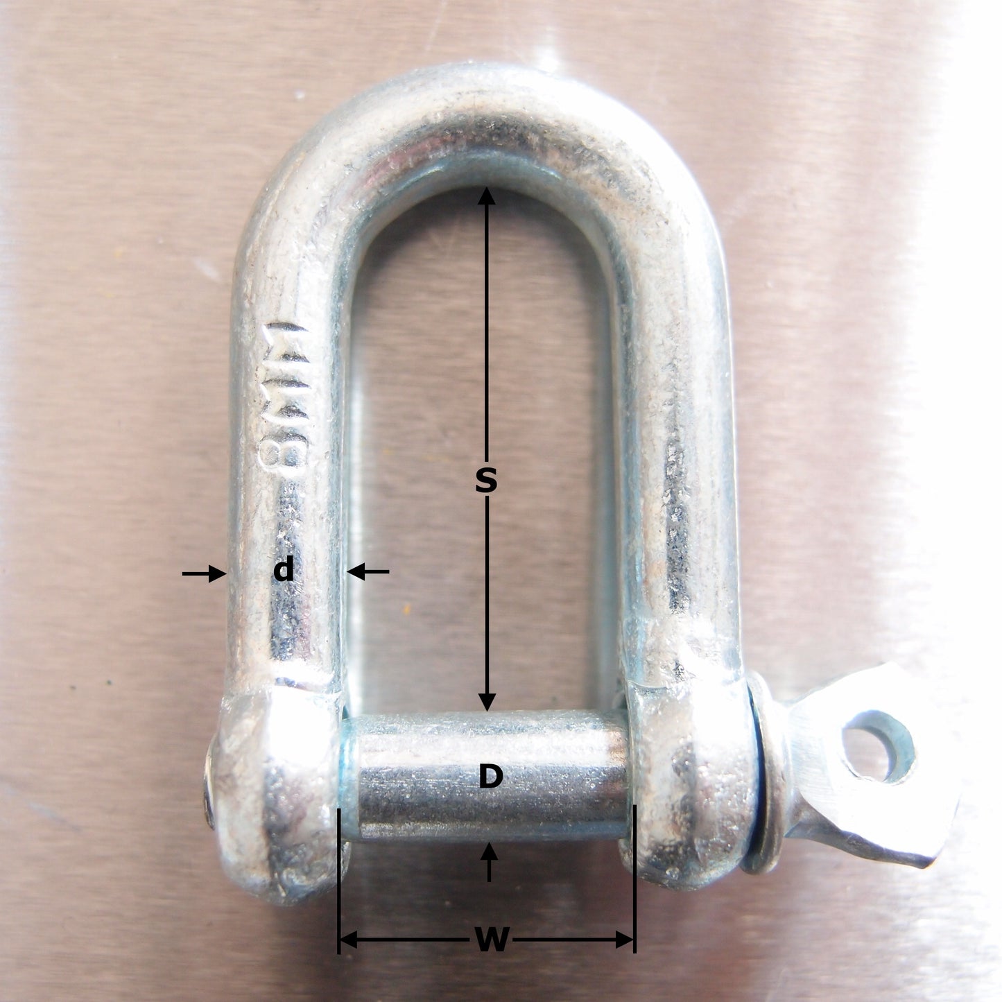 Commercial Dee Shackle: Galvanised with Screwed Collar Pin