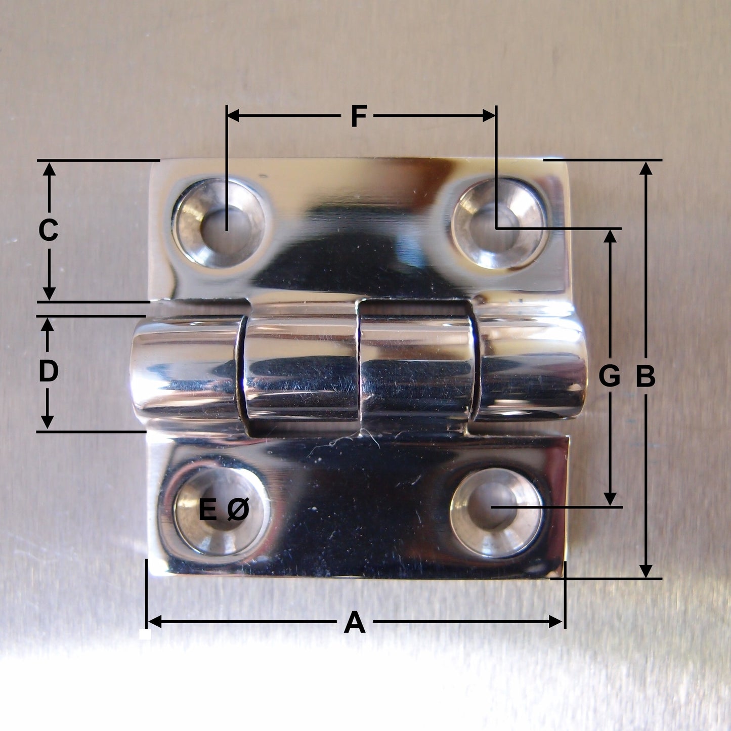 Stainless Steel Butt Hinge - 316 Marine grade