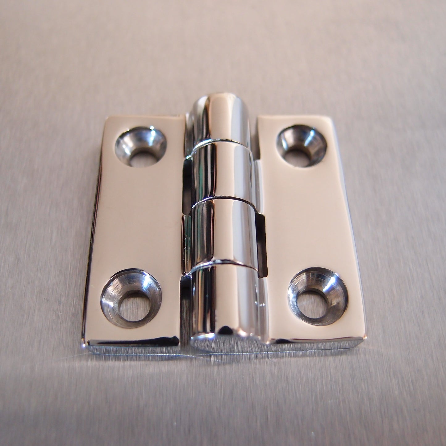 Stainless Steel Butt Hinge - 316 Marine grade