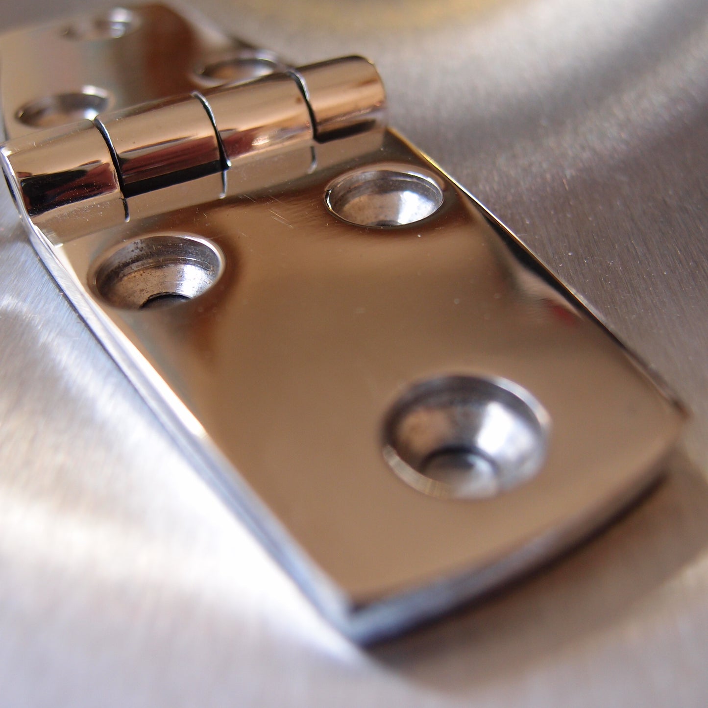 Stainless Steel Door Hinge - 316 Marine grade