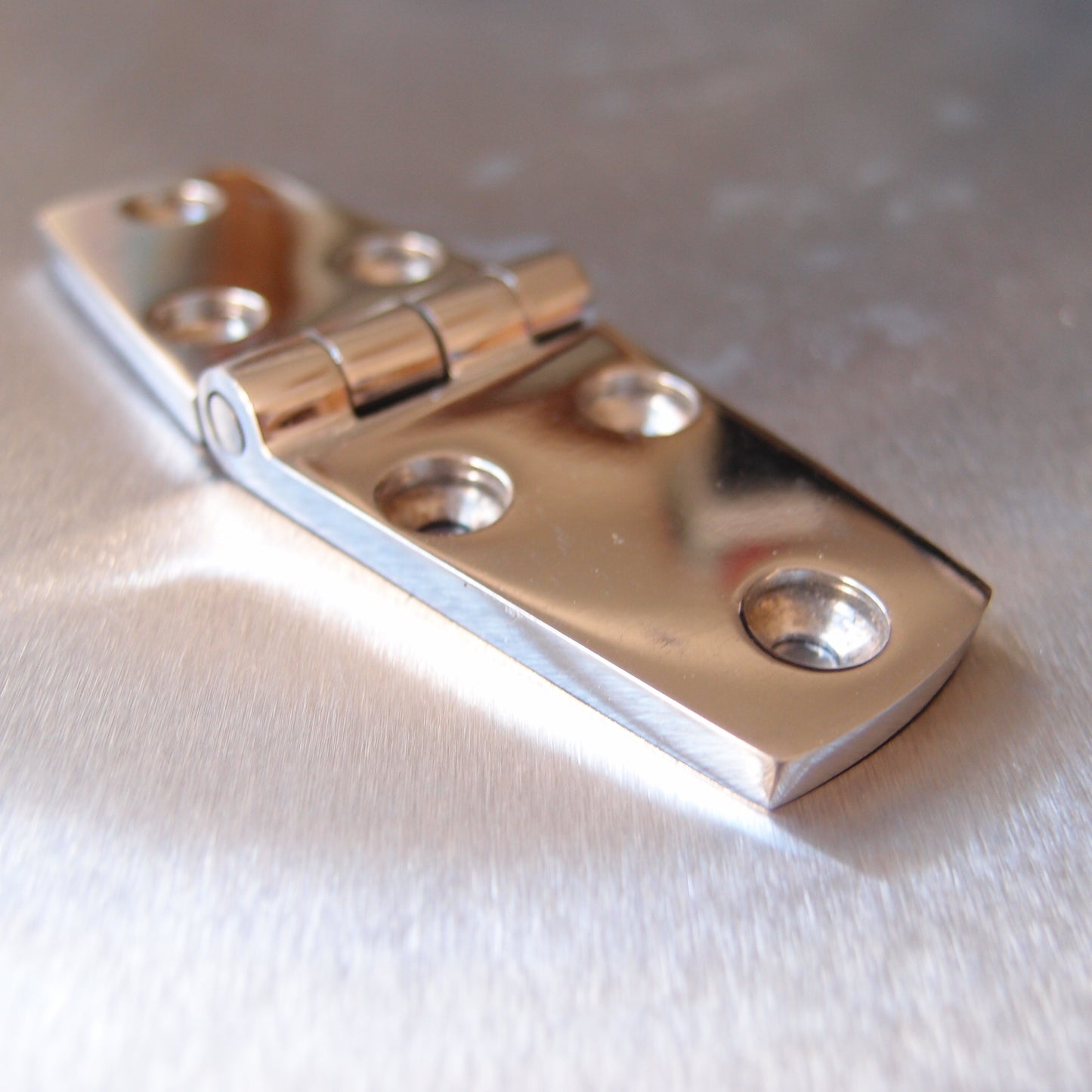 Stainless Steel Door Hinge - 316 Marine grade