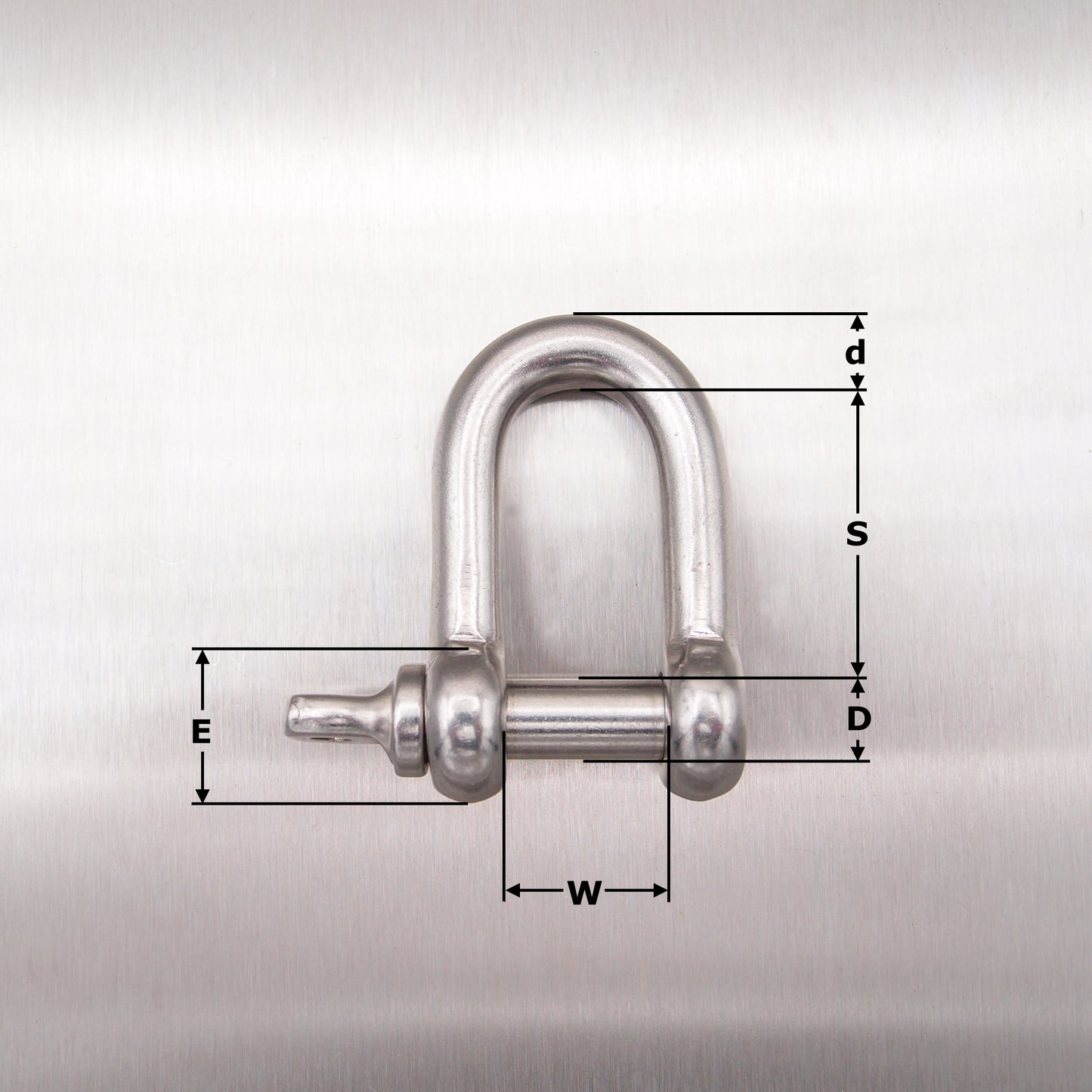 Stainless Steel Dee Shackle - with Screwed Collar Pin AISI 316