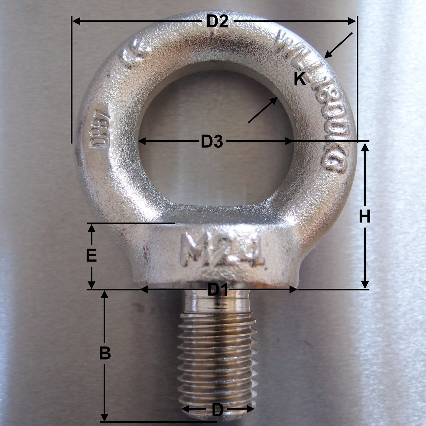 Stainless Steel Forged Eyebolts to DIN 580 Tested - AISI 316