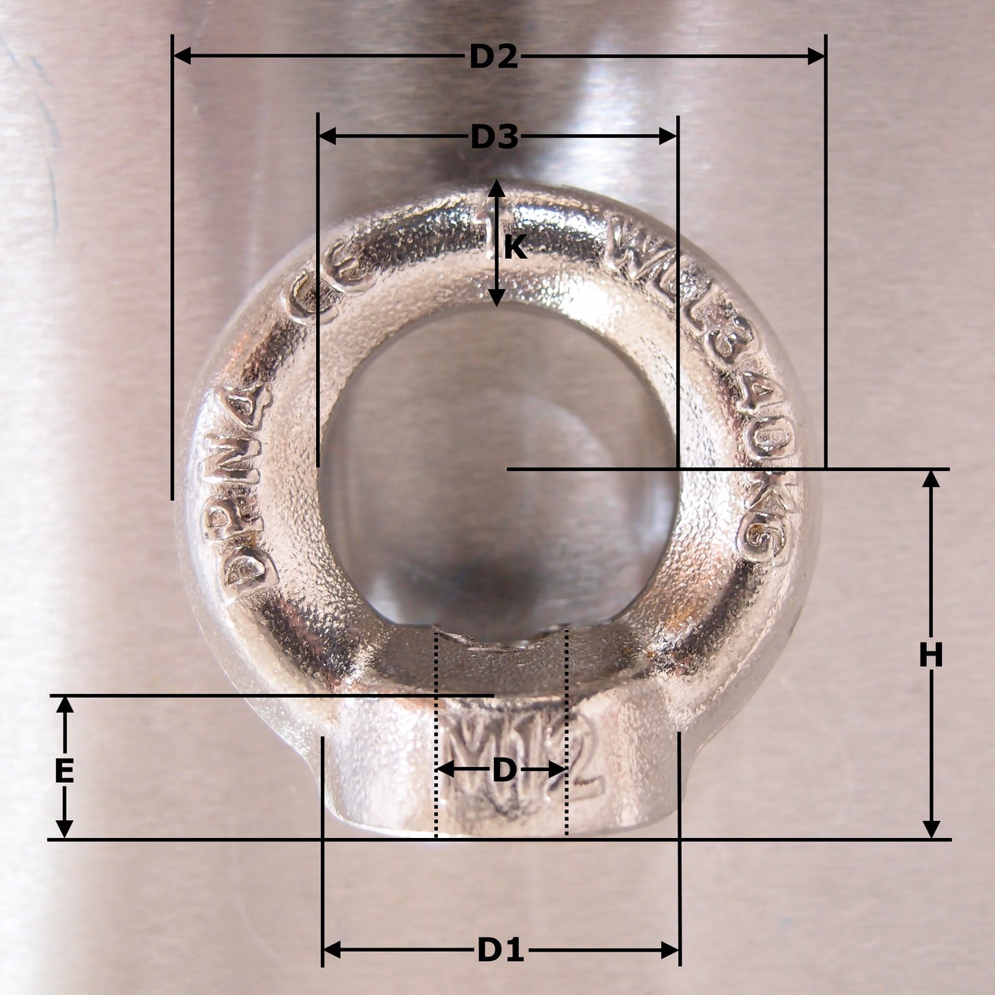 Stainless Steel forged Lifting Eyenuts - to DIN 582 Tested - AISI 316
