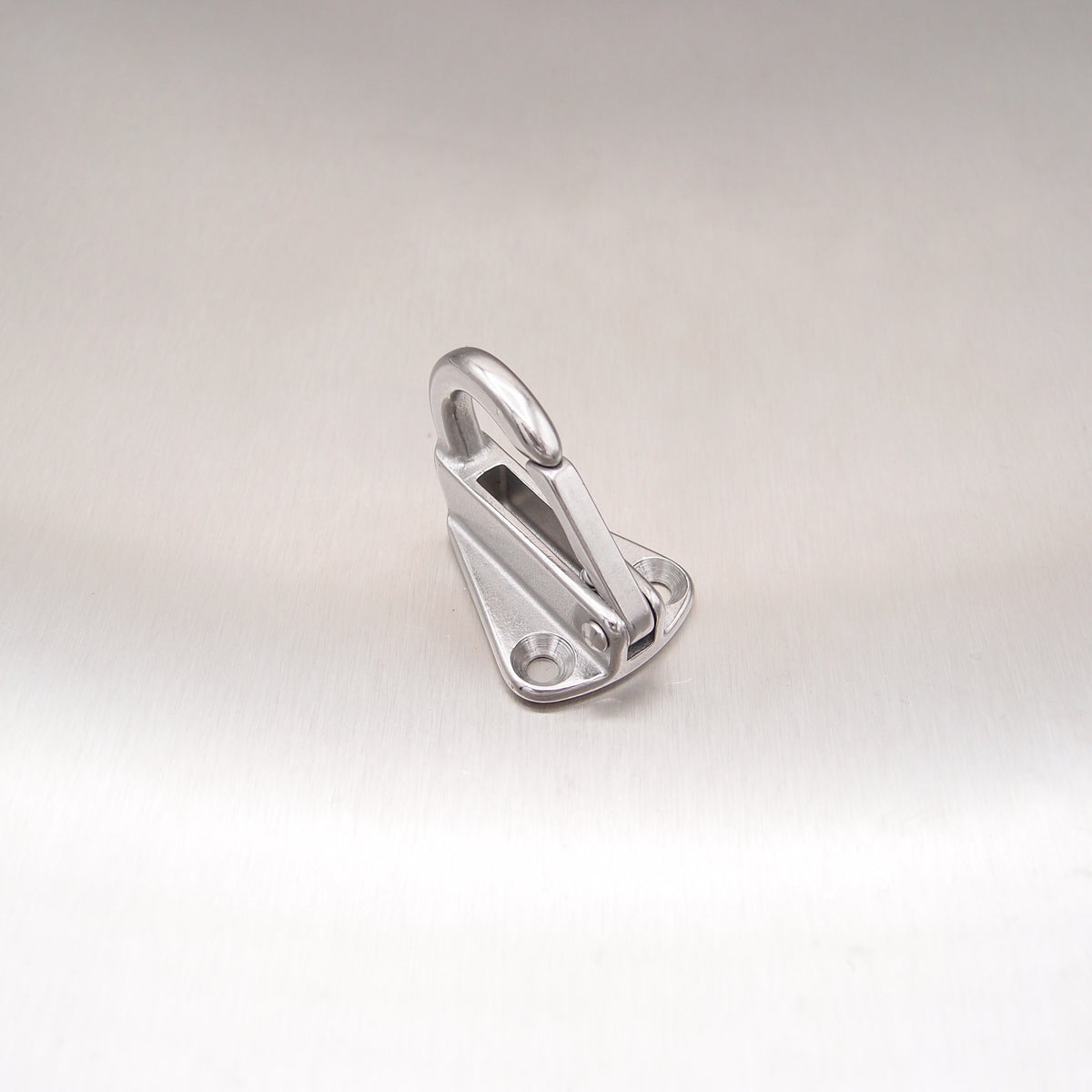 Stainless Steel Fending Hook with Safety Catch - AISI 316