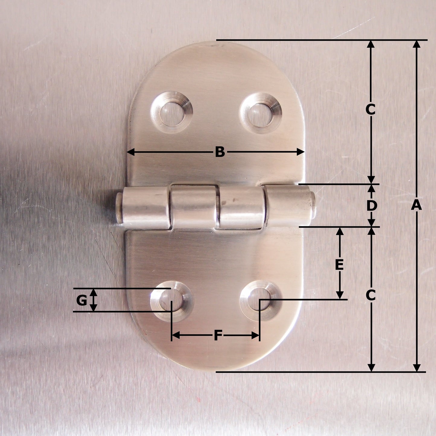 75mm x 40mm Oval Hinge - Stainless steel AISI316 - Satin Finish