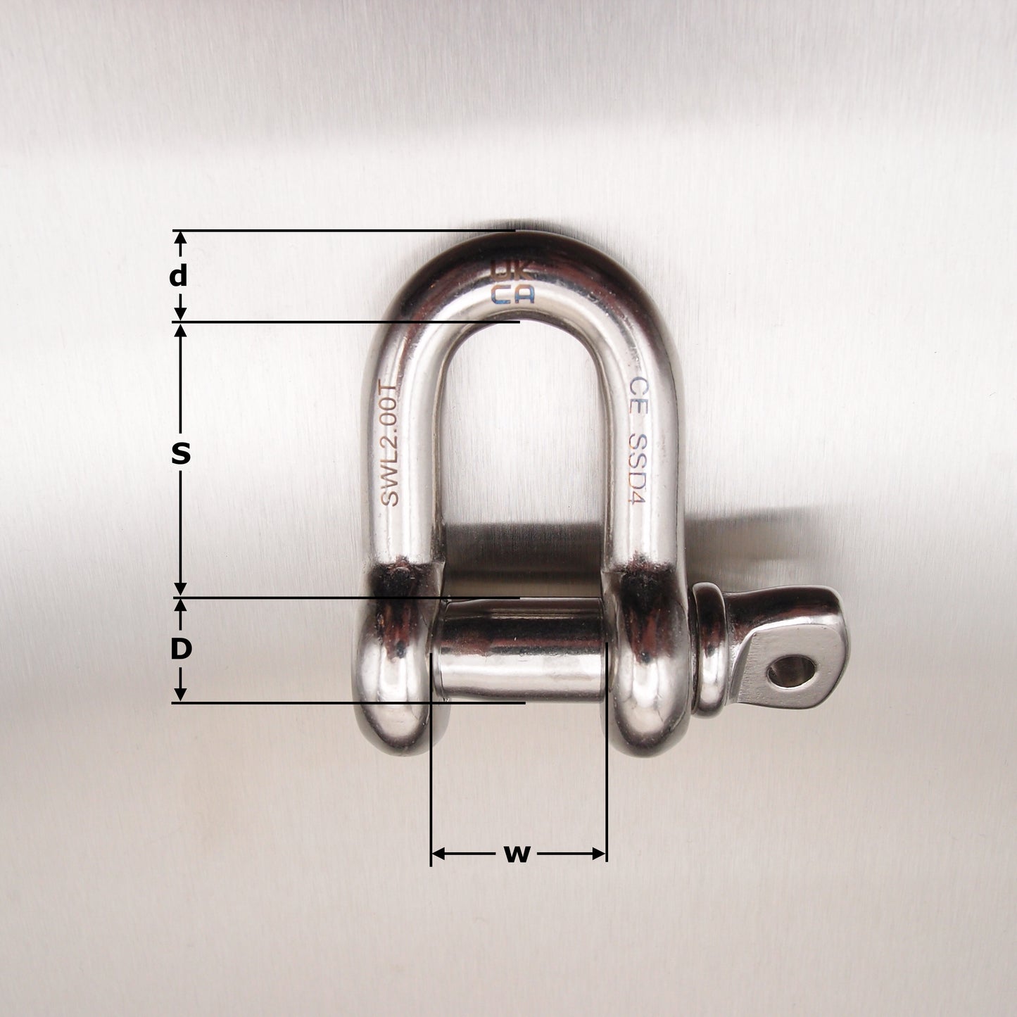 Stainless Steel Load Rated Dee Shackle with Screw Collar Pin - AISI 316