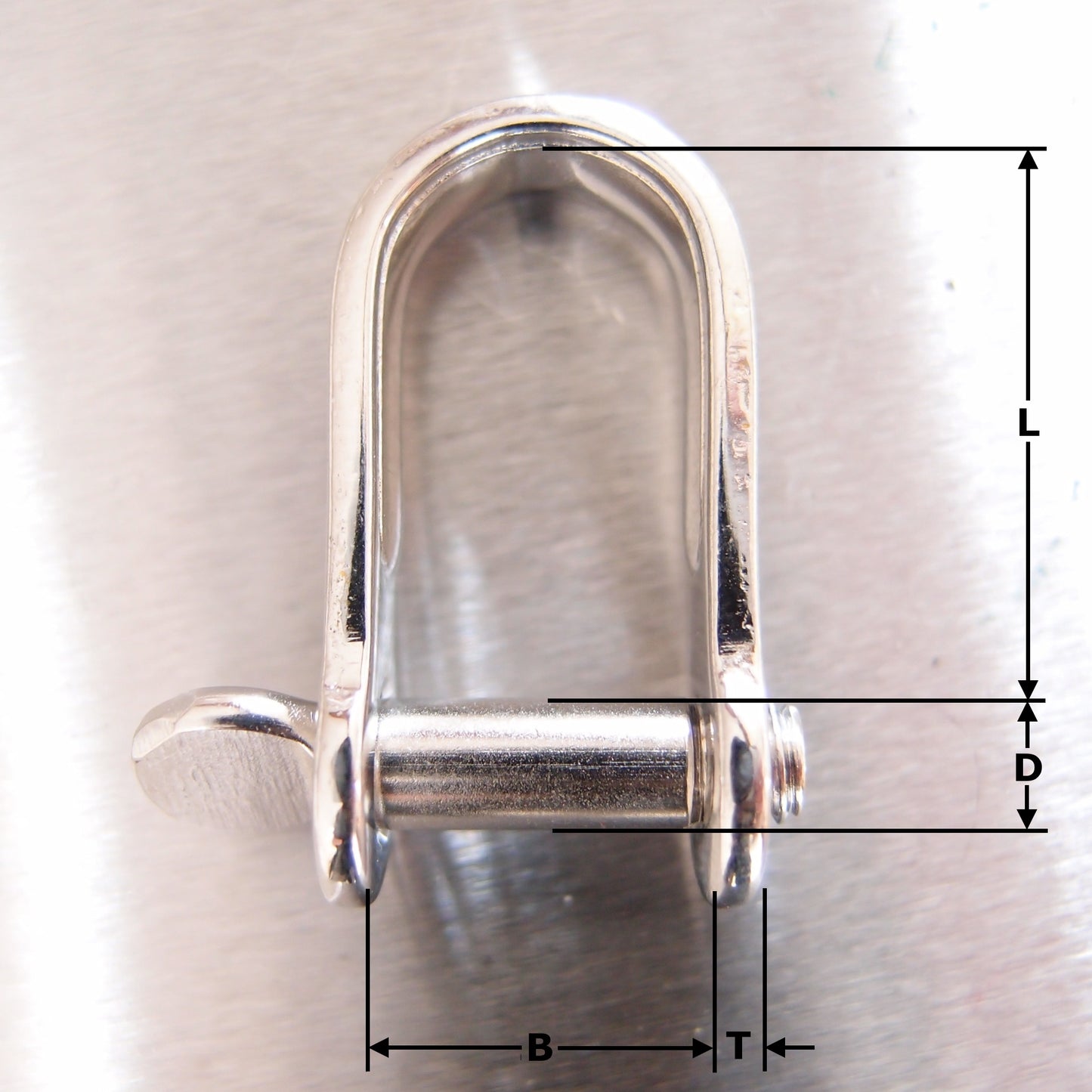 Stainless Steel Strip Dee Shackles - with Screw Pin - AISI 316