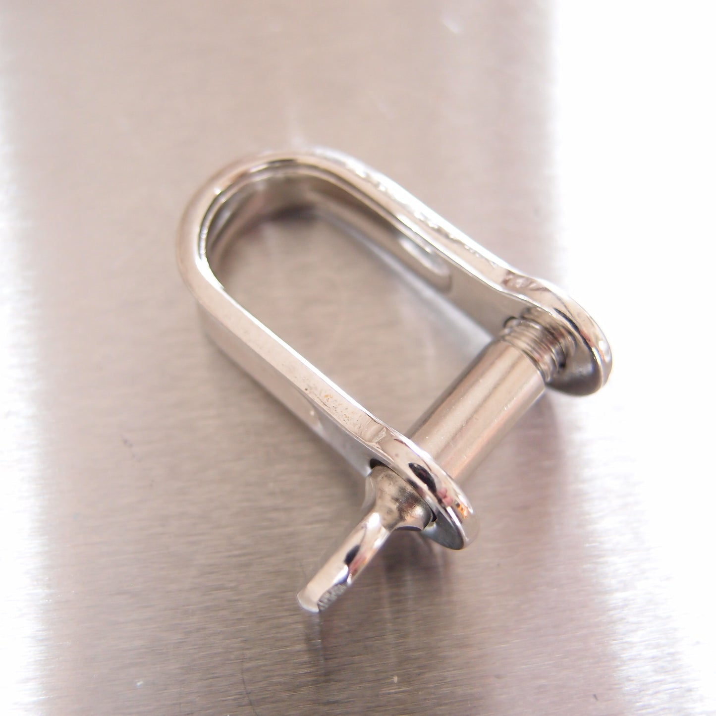 Stainless Steel Strip Dee Shackles - with Screw Pin - AISI 316