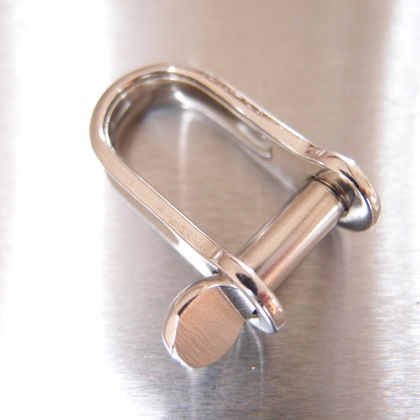 Stainless Steel Strip Dee Shackles - with Screw Pin - AISI 316