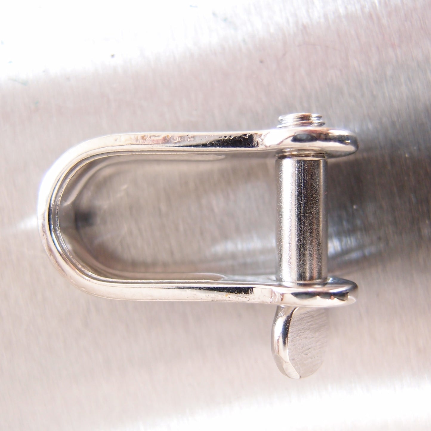 Stainless Steel Strip Dee Shackles - with Screw Pin - AISI 316