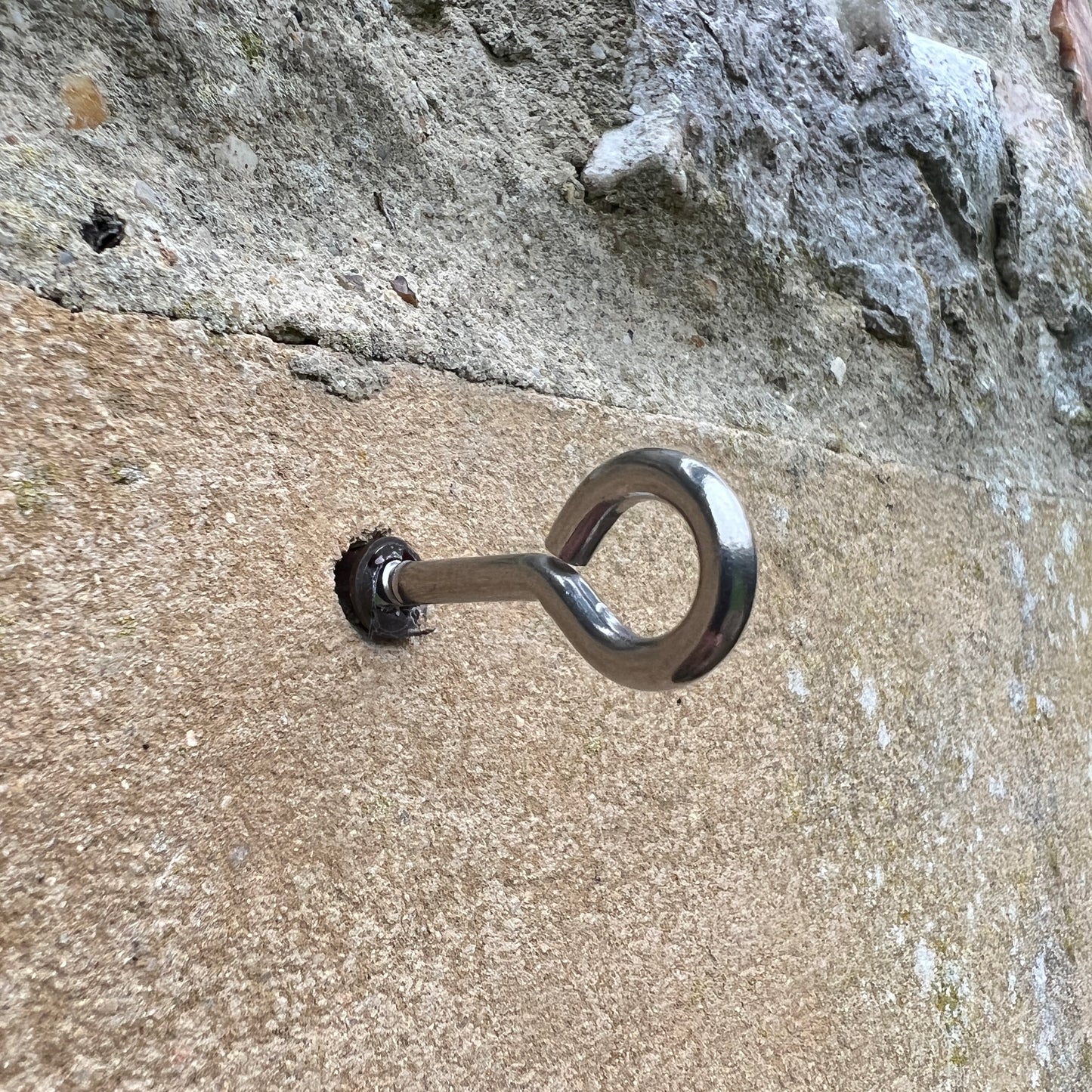 Stainless Steel Vine Eyes - Wood Screw Eye