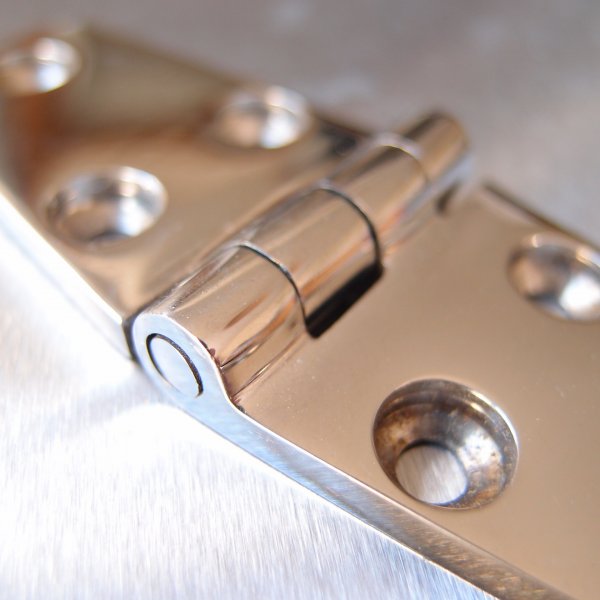 Stainless Steel Door Hinge - 316 Marine grade