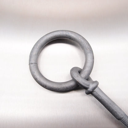 Ringbolts with Nut and Washer Galvanised