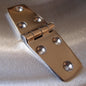 Stainless Steel Door Hinge - 316 Marine grade