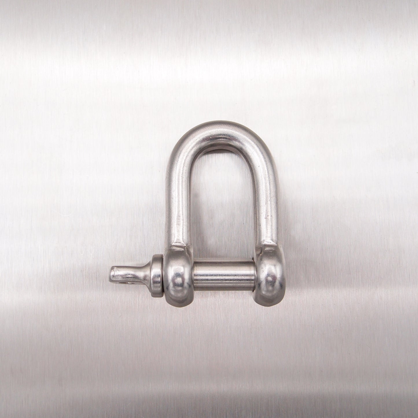 Stainless Steel Dee Shackle - with Screwed Collar Pin AISI 316