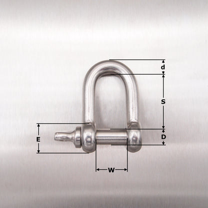 Stainless Steel Dee Shackle - with Screwed Collar Pin AISI 316