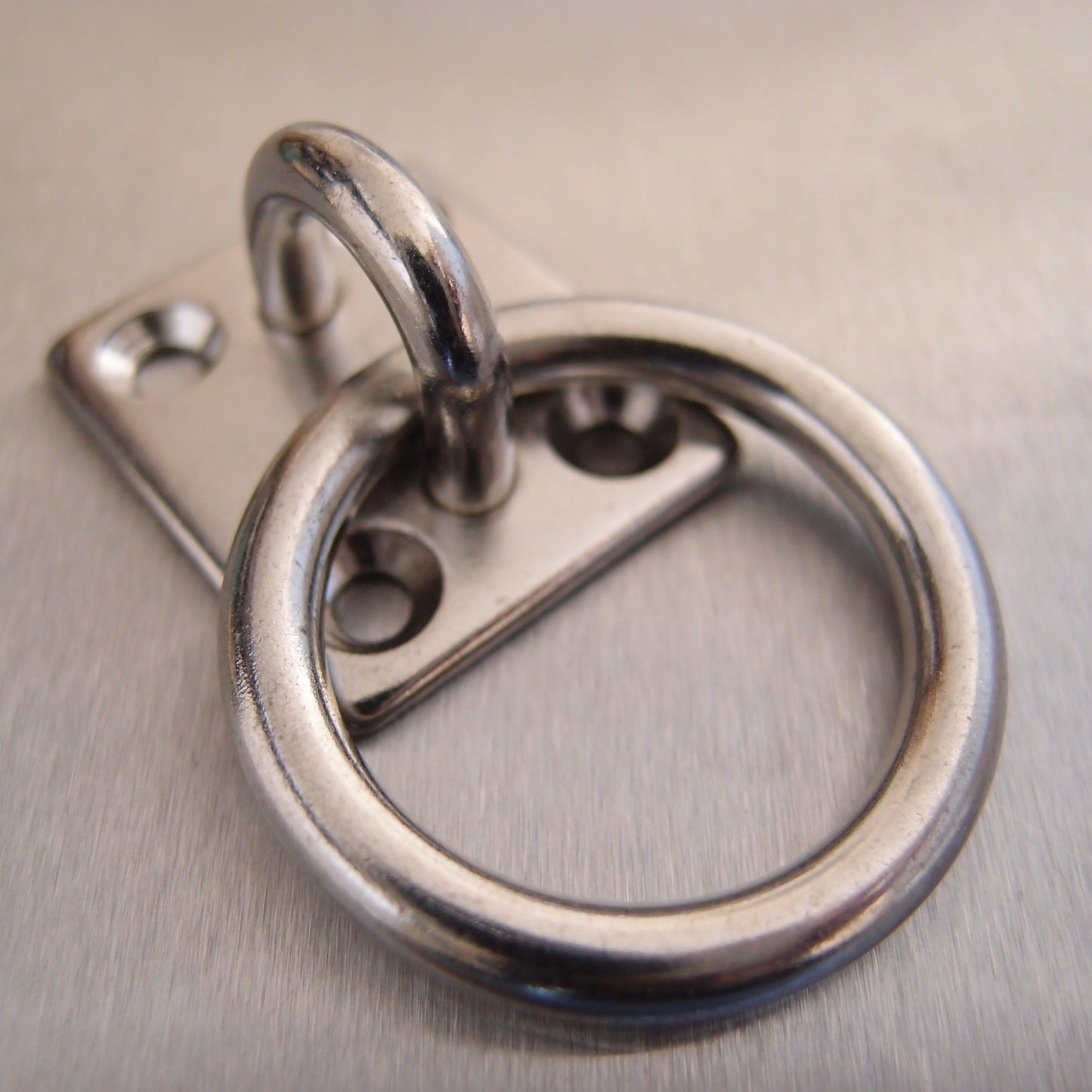 Stainless Steel Four Hole Eye Plates - Fitted with Ring AISI 304
