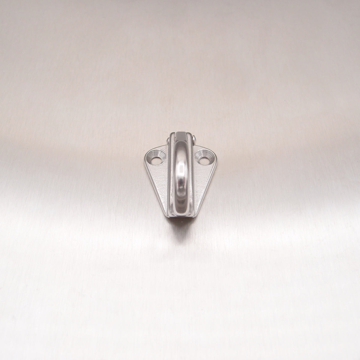 Stainless Steel Fending Hook with Safety Catch - AISI 316