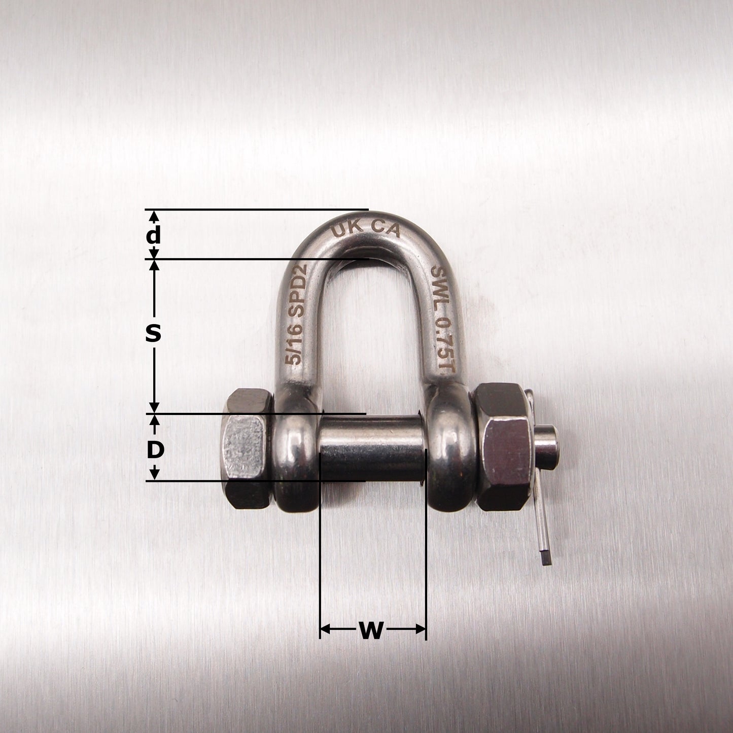 Stainless Steel Load Rated Safety Dee Shackle - AISI 316
