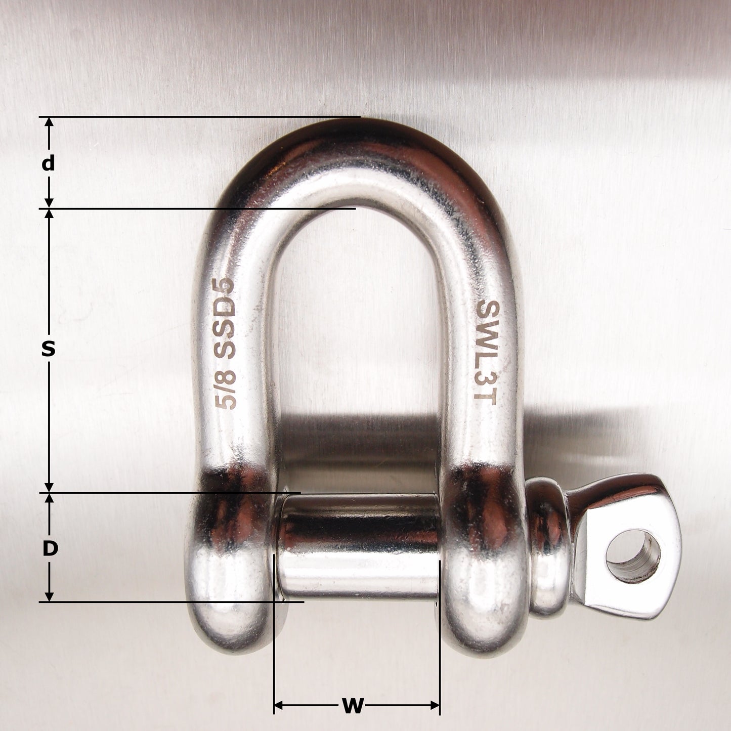 Stainless Steel Load Rated Dee Shackle with Screw Collar Pin - AISI 316