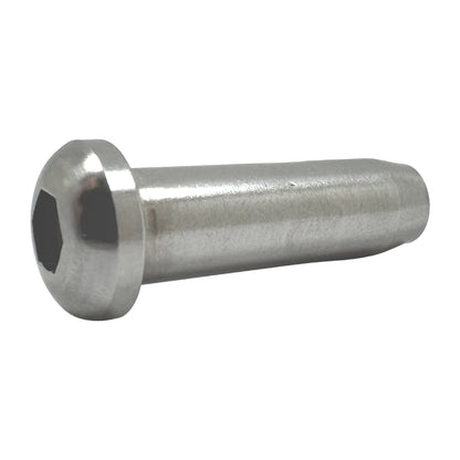Stainless Steel Dome Head with Internal Thread & Hex Socket AISI316